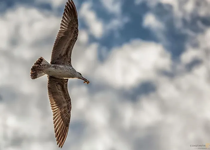 Дом отдыха 3 At House 